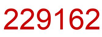 Number 229162 red image