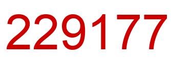 Number 229177 red image