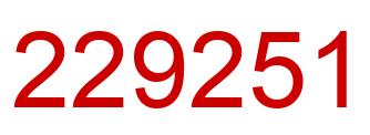 Number 229251 red image