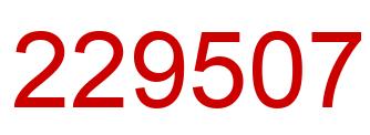 Number 229507 red image
