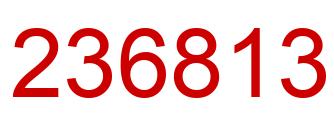 Number 236813 red image