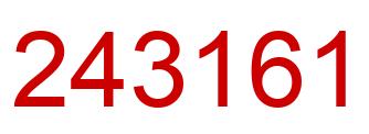 Number 243161 red image