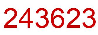 Number 243623 red image