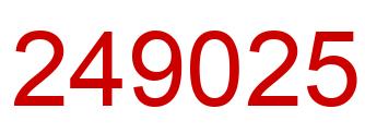 Number 249025 red image