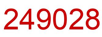 Number 249028 red image