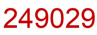 Number 249029 red image