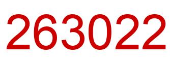 Number 263022 red image
