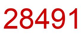 Number 28491 red image