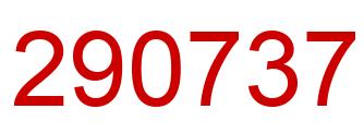 Number 290737 red image