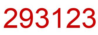 Number 293123 red image