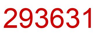 Number 293631 red image