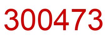 Number 300473 red image