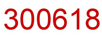 Number 300618 red image