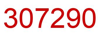 Number 307290 red image