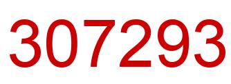 Number 307293 red image