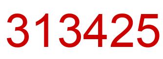 Number 313425 red image