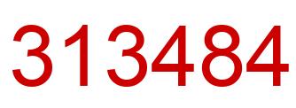 Number 313484 red image