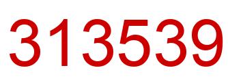Number 313539 red image