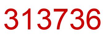 Number 313736 red image