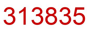 Number 313835 red image