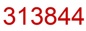 Number 313844 red image