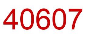 Number 40607 red image