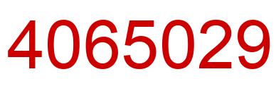 Number 4065029 red image