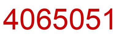 Number 4065051 red image