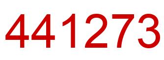 Number 441273 red image