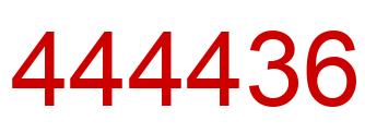 Number 444436 red image