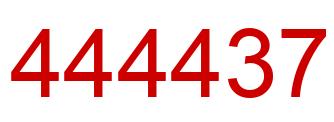 Number 444437 red image