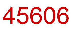 Number 45606 red image