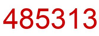 Number 485313 red image