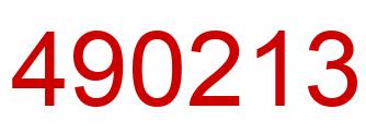 Number 490213 red image
