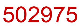 Number 502975 red image