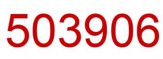 Number 503906 red image