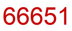 Number 66651 red image