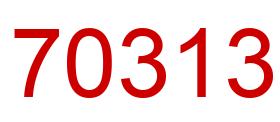 Number 70313 red image