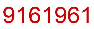 Number 9161961 red image