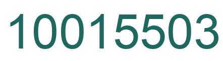 Number 10015503 green image