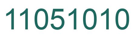 Number 11051010 green image