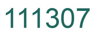 Number 111307 green image