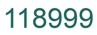 Number 118999 green image