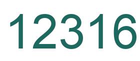 Number 12316 green image