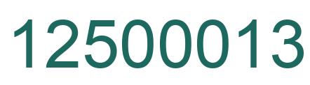 Number 12500013 green image