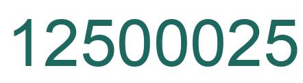 Number 12500025 green image