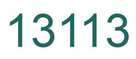 Number 13113 green image