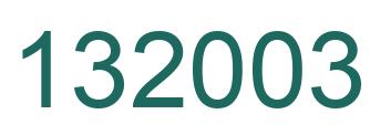 Number 132003 green image