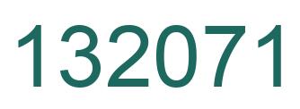 Number 132071 green image