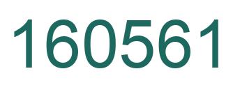 Number 160561 green image